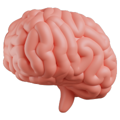 11_Blogs_2-4 Mental Health (240x24)