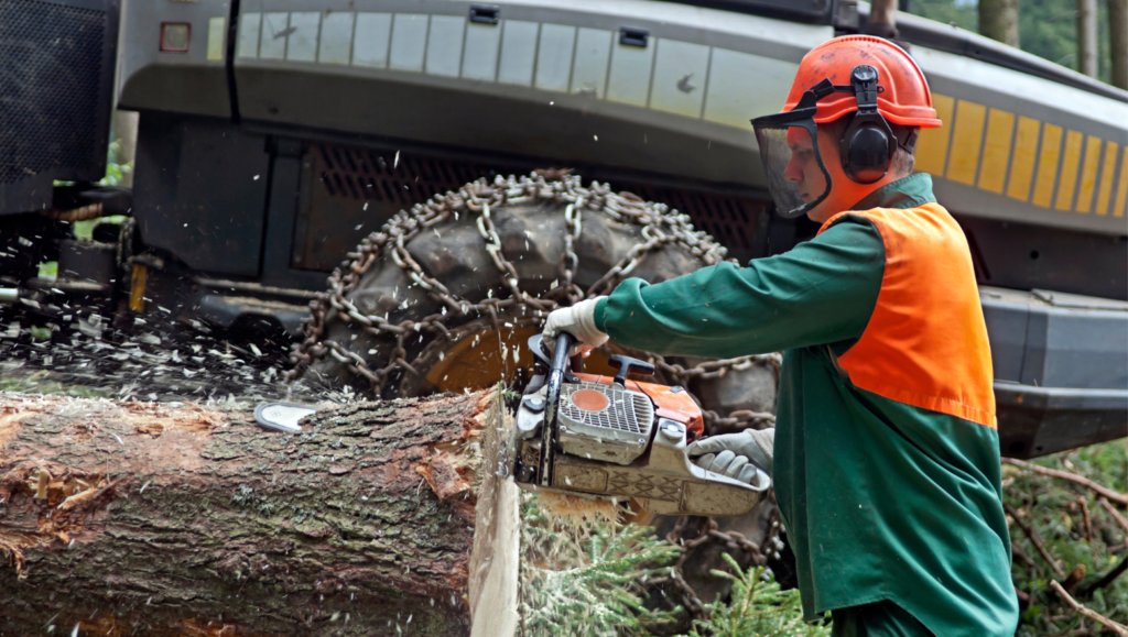 mental health support for first responders forestry worker