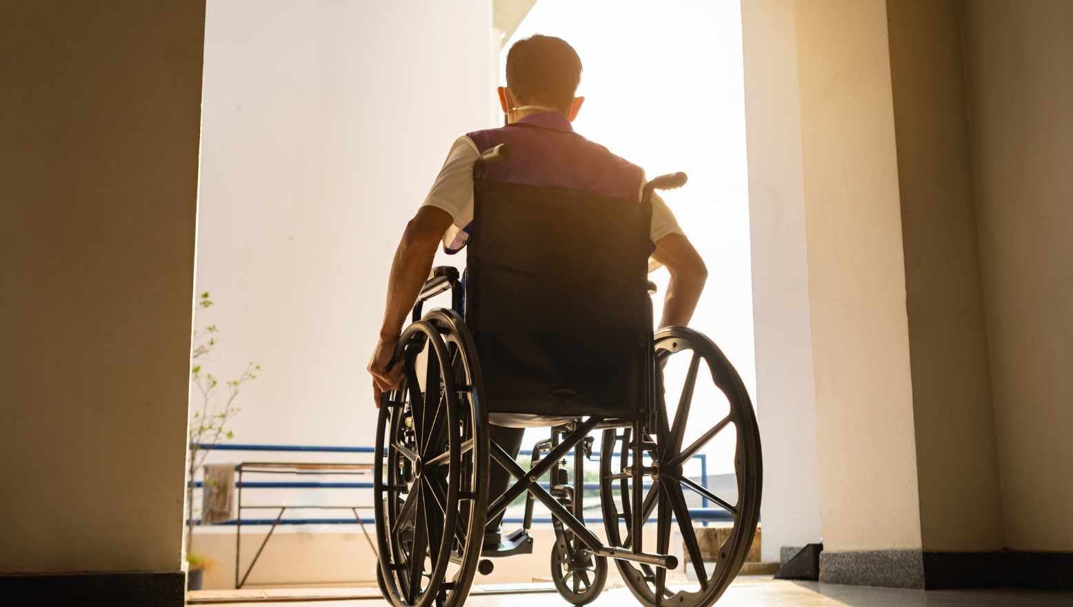 What is Multiple Sclerosis?