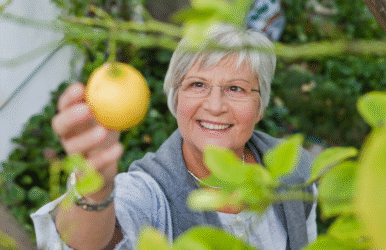Best healthy juices for older people header