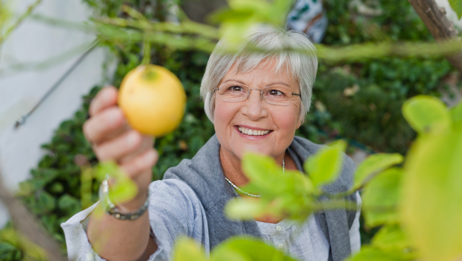 Best healthy juices for older people
