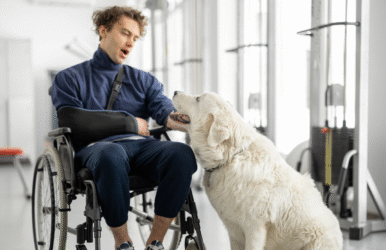 Animal therapy vs. Animal assisted therapy