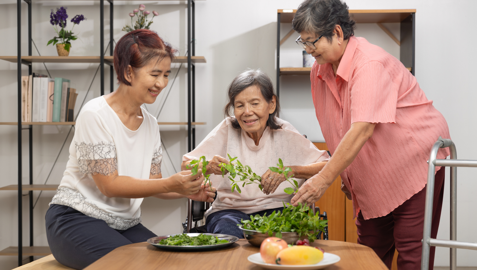 How meal support fits into your Support at Home budget
