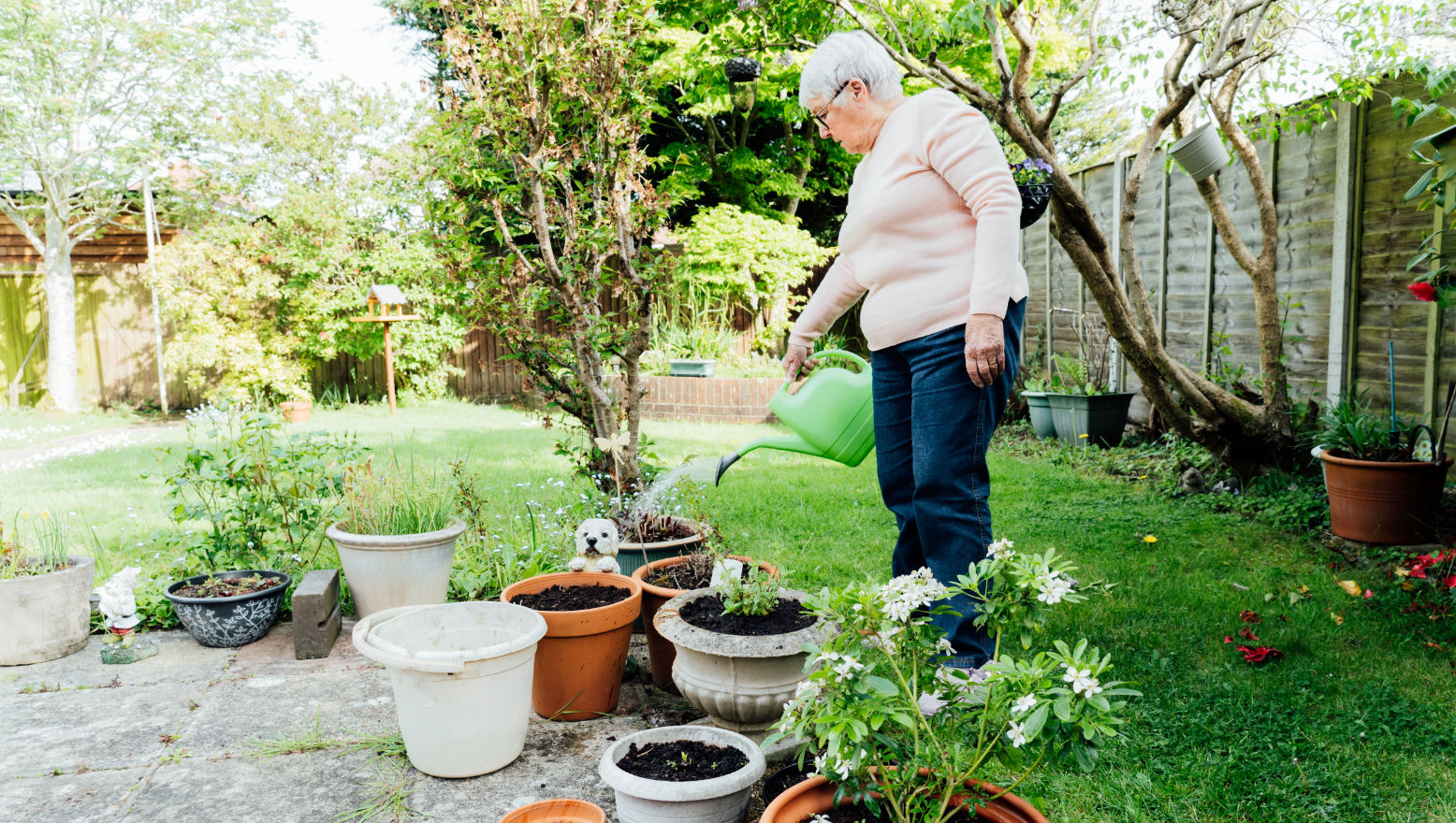 Aged Care Garden Maintenance: What Support at Home May Cover 