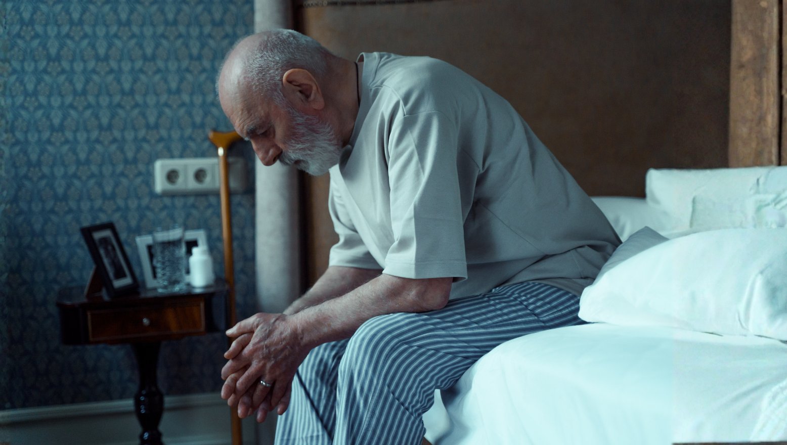 Companionship for Elderly People: When Support Helps Life Feel More Connected 